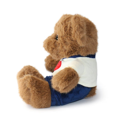 Fashionable Huggable Bear