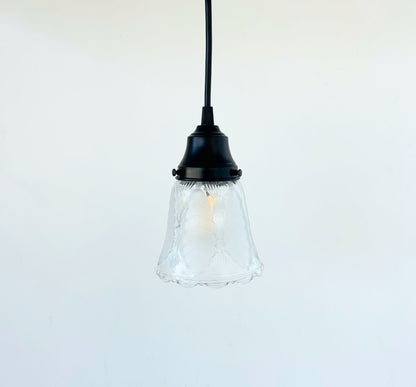 Frosted Leaf Embossed Clear Pendant Light
