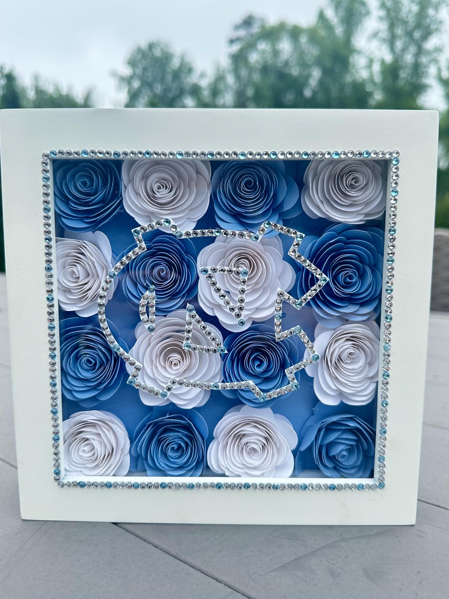 Fully Customizable: BLINGED OUT Flower Shadow Box *College Logo *Graduation Gift *Bed Party Decor *College Acceptance *High School Grad  *College Commitment