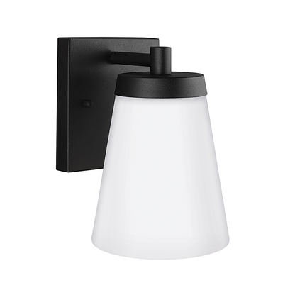 Renville 1-Light Small Wall Lantern