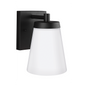 Renville 1-Light Small Wall Lantern