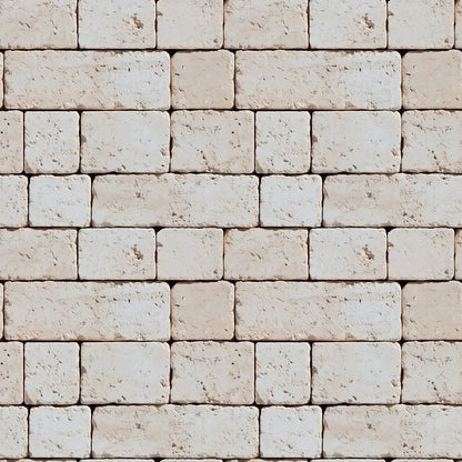 Coastal Limestone Brick Wall