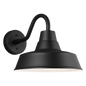 Barn Light Medium Wall Lantern
