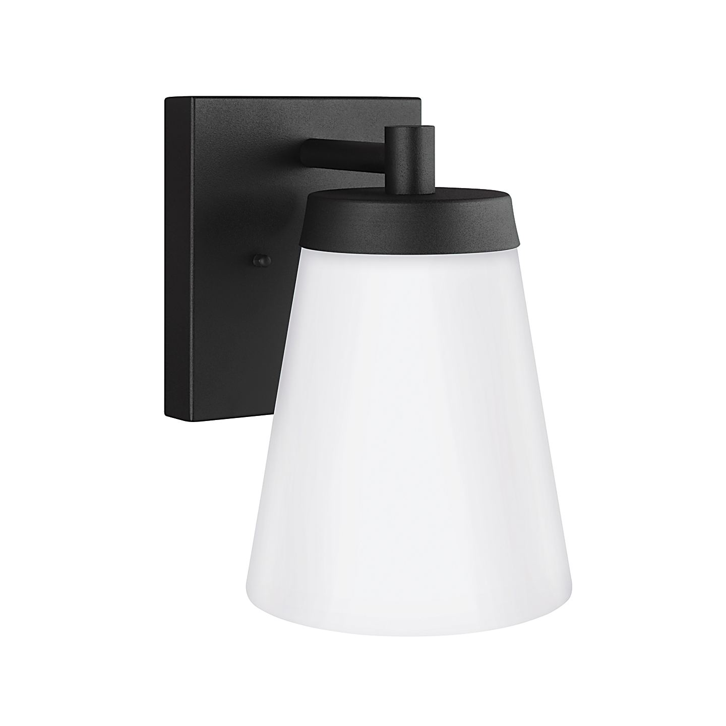 Renville 1-Light Large Wall Lantern