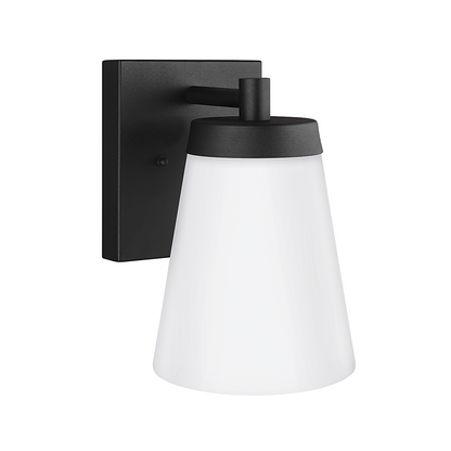 Renville 1-Light Large Wall Lantern