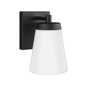 Renville 1-Light Large Wall Lantern