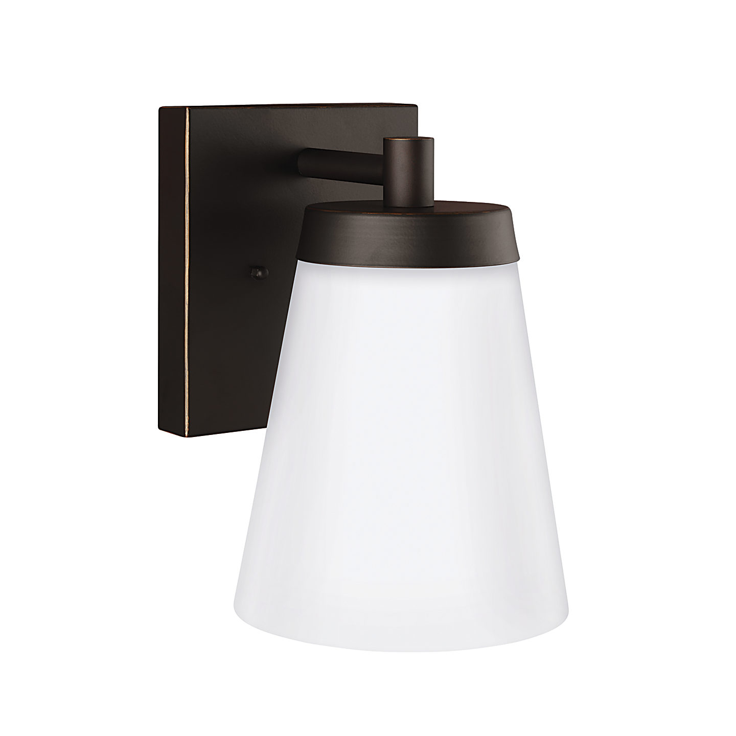 Renville 1-Light Large Wall Lantern
