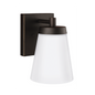 Renville 1-Light Large Wall Lantern