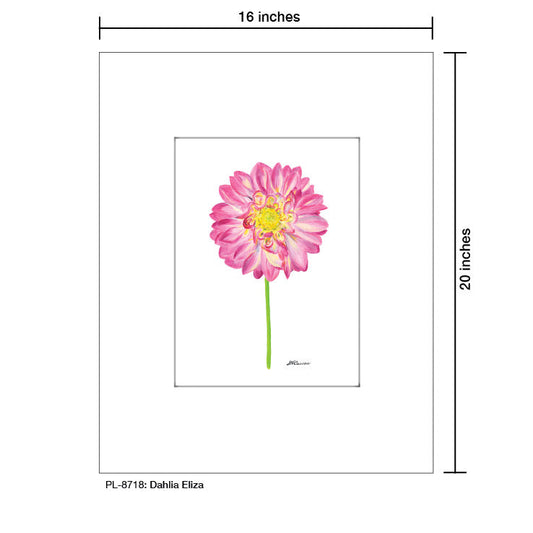 Dahlia Eliza, Print (#8718Q)