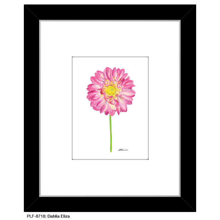 Dahlia Eliza, Print (#8718Q)