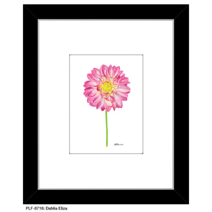 Dahlia Eliza, Print (#8718Q)