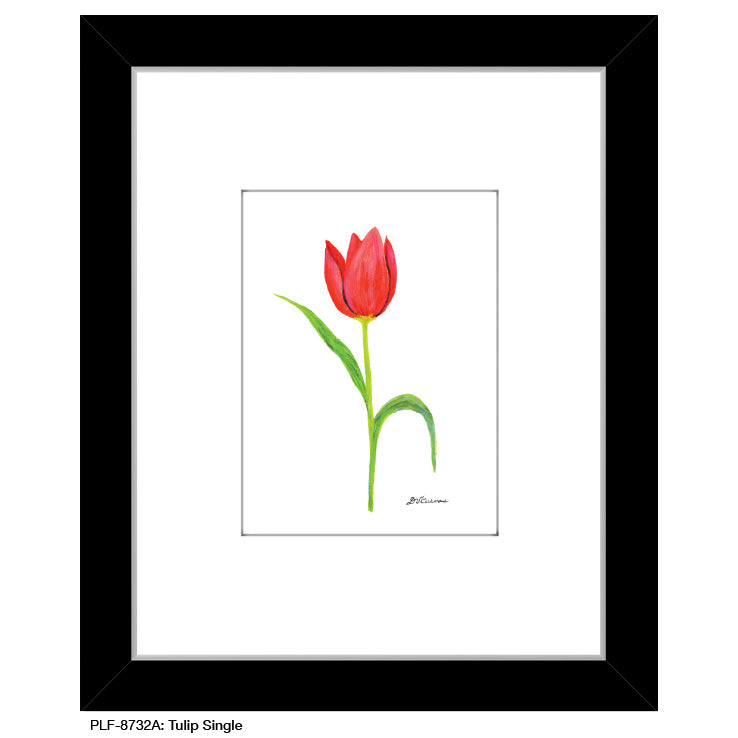 Tulip Single, Print (#8732A)