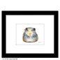Guinea Pig Fluff, Print (#8776A)
