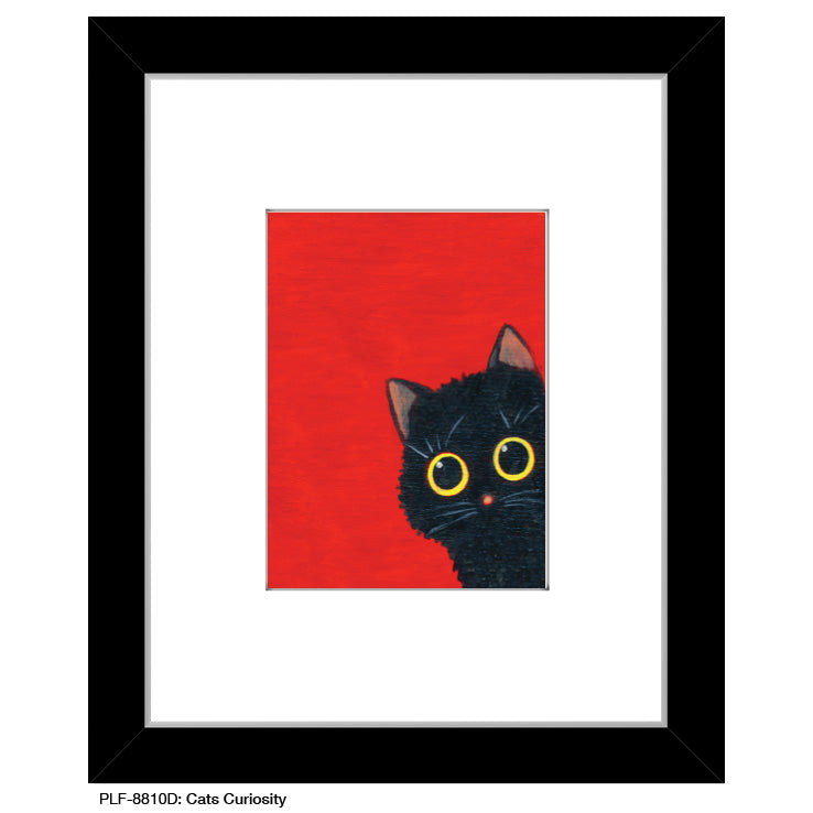 Cats Curiosity, Print (#8810D)