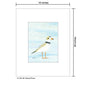 Piping Plover, Print (#8814B)
