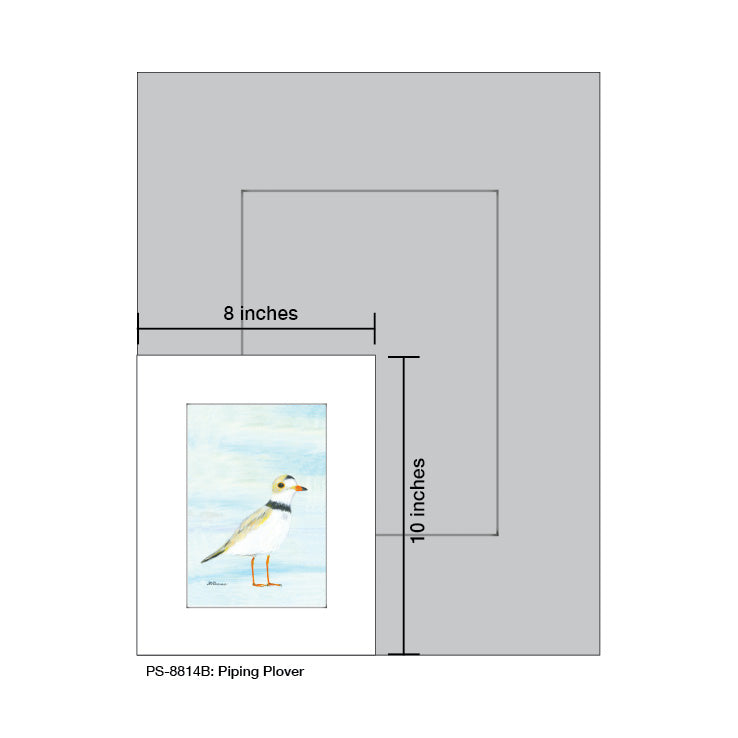 Piping Plover, Print (#8814B)