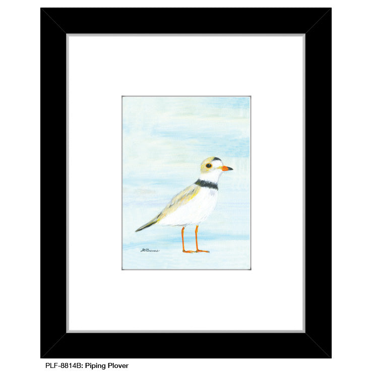 Piping Plover, Print (#8814B)