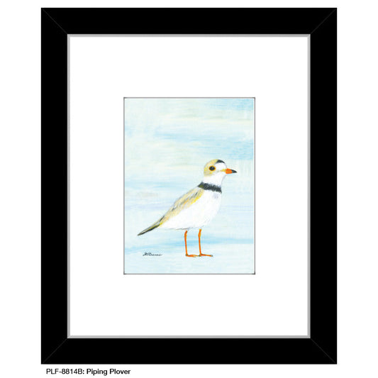Piping Plover, Print (#8814B)
