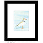 Piping Plover, Print (#8814B)