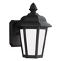Brentwood Small Outdoor Wall Lantern 89822