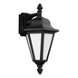 Brentwood Medium Downlight Outdoor Wall Lantern