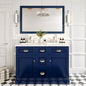 Eviva Acclaim 60" x 30" Rectangular Blue Wooden Framed Mirror