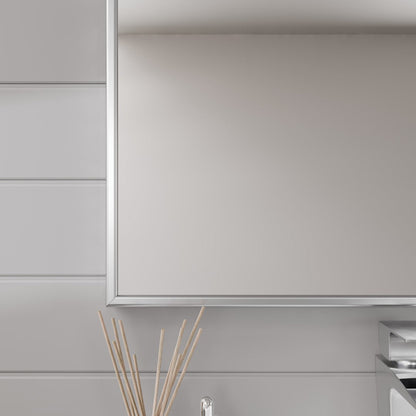 Eviva Vista Brushed Nickel Metal Framed Mirror