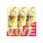 2882HomeDecor™ LIVE LIVE LIVE Square Magnet