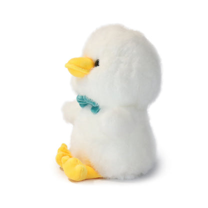 Dashing Bashful Duck