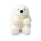 Buzzy Bear | Play | Kitchen + Metal
