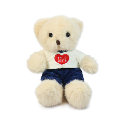Fashionable Huggable Bear