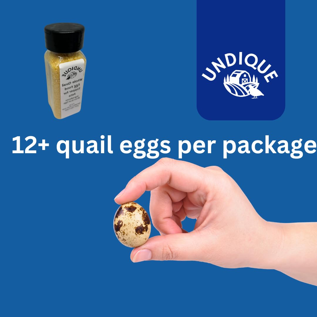 Quailicious Boost - Made in USA High-Protein Quail Egg Cat Food Topper, Freeze-Dried for Cat Digestive Health - Nutrient-Rich, Grain-Free Digestive Support for Cats, Ideal for Picky Eaters