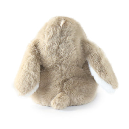 Benny Bunny