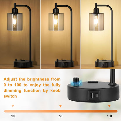 Industrial Desk Lamps for Office Set of 2 - Fully Dimmable Bedside | Lighting | Kitchen + Metal