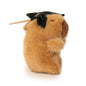 Dottie Guinea Pig