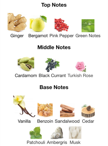 Chart of top, middle, and base notes with corresponding images and names on a white background.