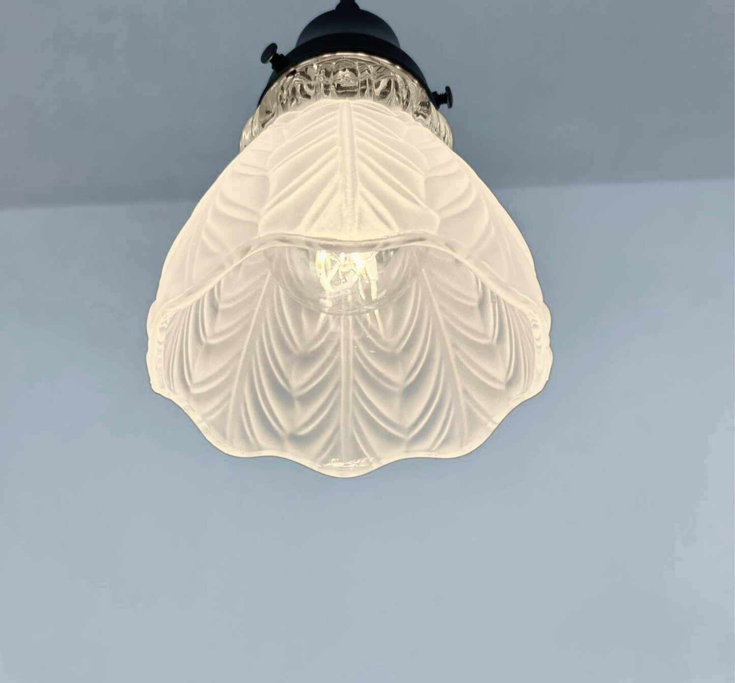 Frosted Leaf and Clear Ribbed Glass Pendant