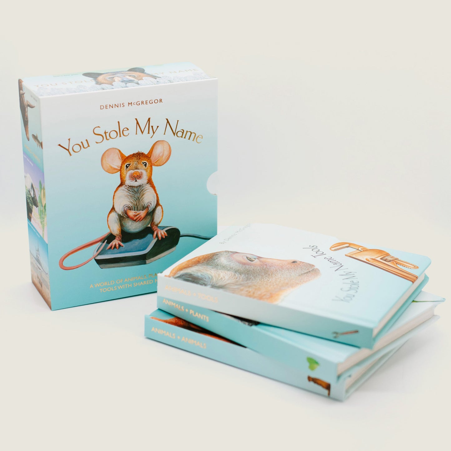 You Stole My Name Too Board Book Box Set