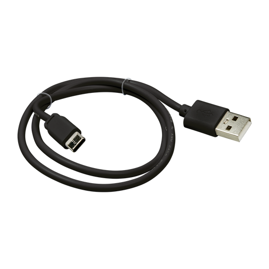 Disk Lighting Disk Light 24 Inch Plug-In Driver Cord