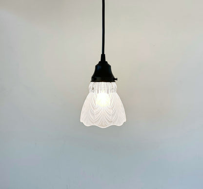 Frosted Leaf and Clear Ribbed Glass Pendant