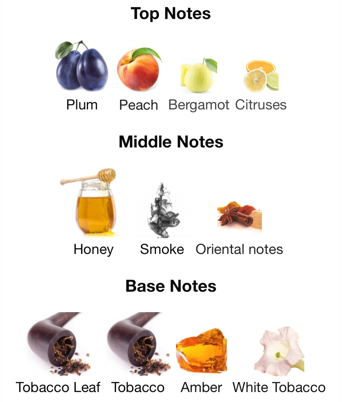 Chart of top, middle, and base notes with corresponding images and labels.