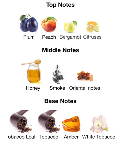 Chart of top, middle, and base notes with corresponding images and labels.