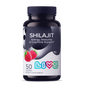 Shilajit Gummies