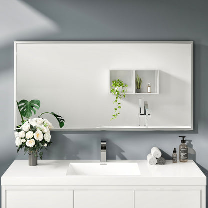 Eviva Vista Brushed Nickel Metal Framed Mirror