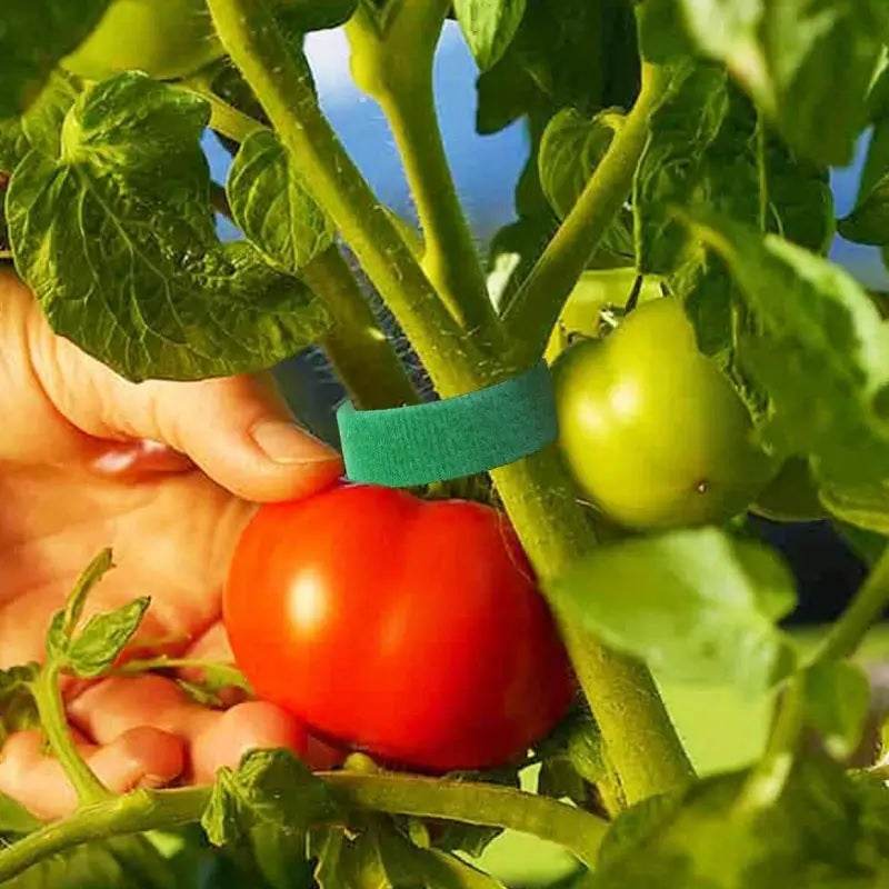 Self-Adhesive Reusable Garden Plant Tie Straps – Hook & Loop Support Tape