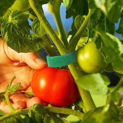 Self-Adhesive Reusable Garden Plant Tie Straps – Hook & Loop Support Tape