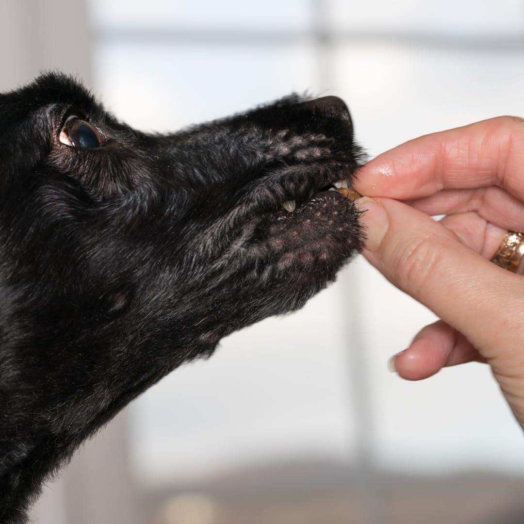 Quail Crunch Bites: Gourmet Dehydrated Dog Treats with Quail Meat & Shells | Premium Healthy Dog Treats for Training | Organic Ingredients for a Happy Palate