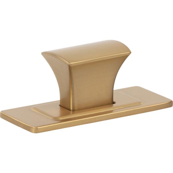 Zander Knob and Backplate