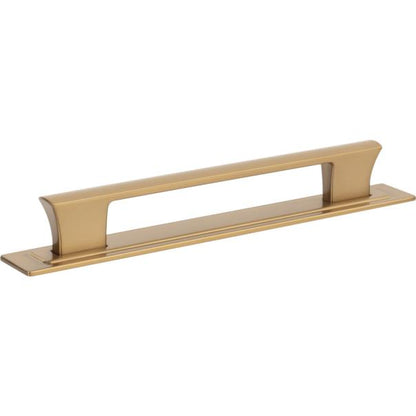 Zander Pull and Backplate