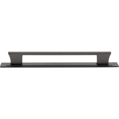 Zander Pull and Backplate